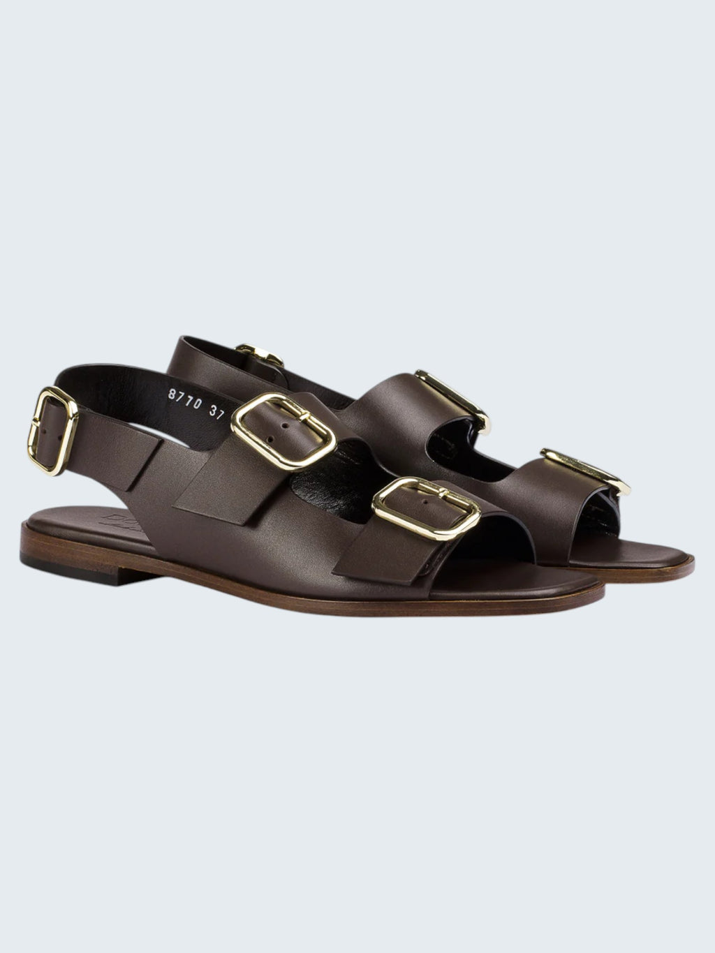 oui-ua.store dark brown leather sandals with large gold buckles and adjustable strap.